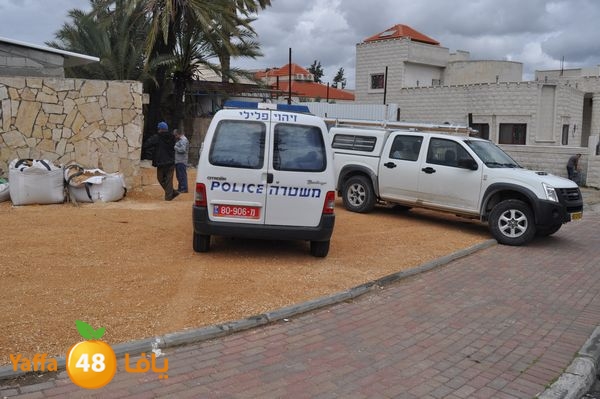 kaneswa7akhdra2lud316 (13).JPG